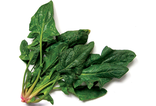 Spinach - 10 Winter Feelgood Foods - Women's Health & Fitness